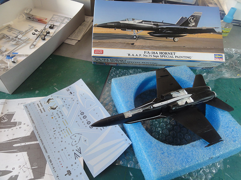 f-18 02411
