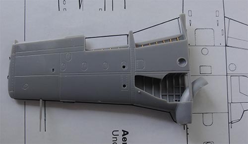 wing
